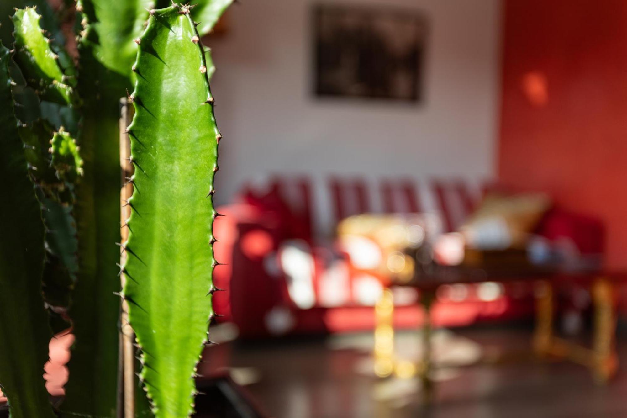 D'amis - D'hotes-b&b-guest House Bed & Breakfast