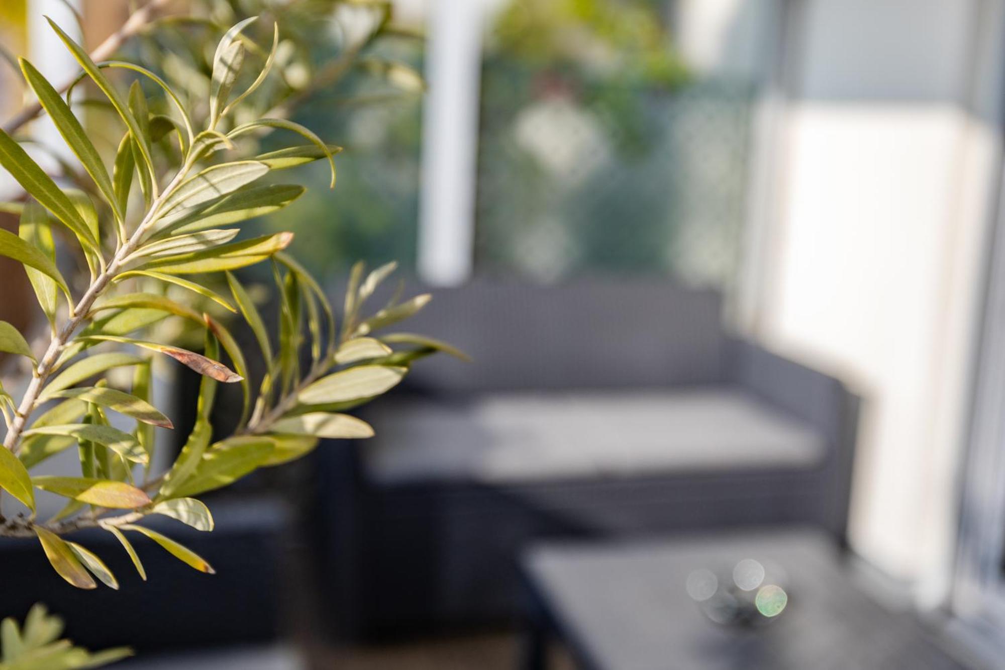 D'amis - D'hotes-b&b-guest House