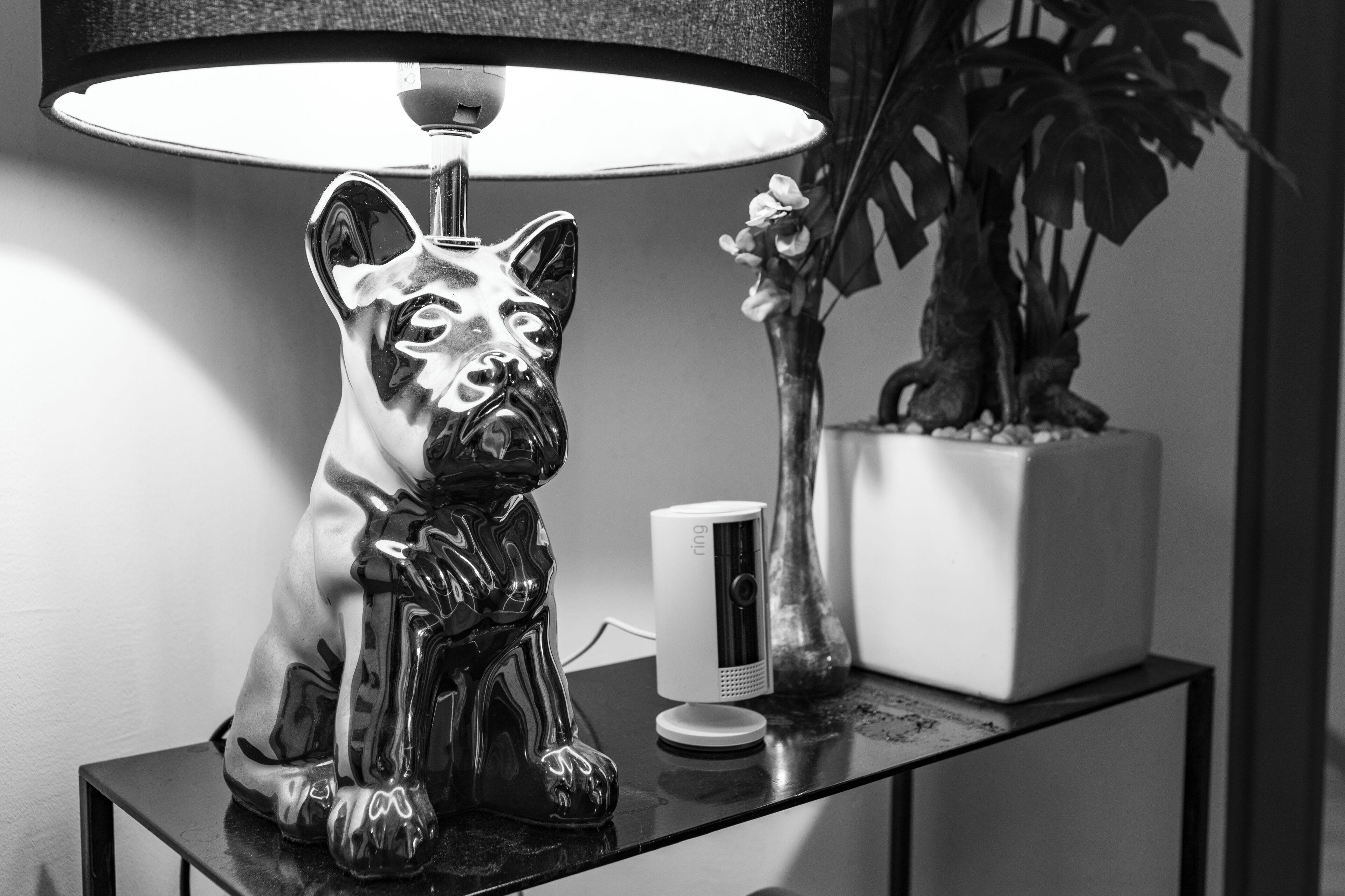 D'amis - D'hotes-b&b-guest House