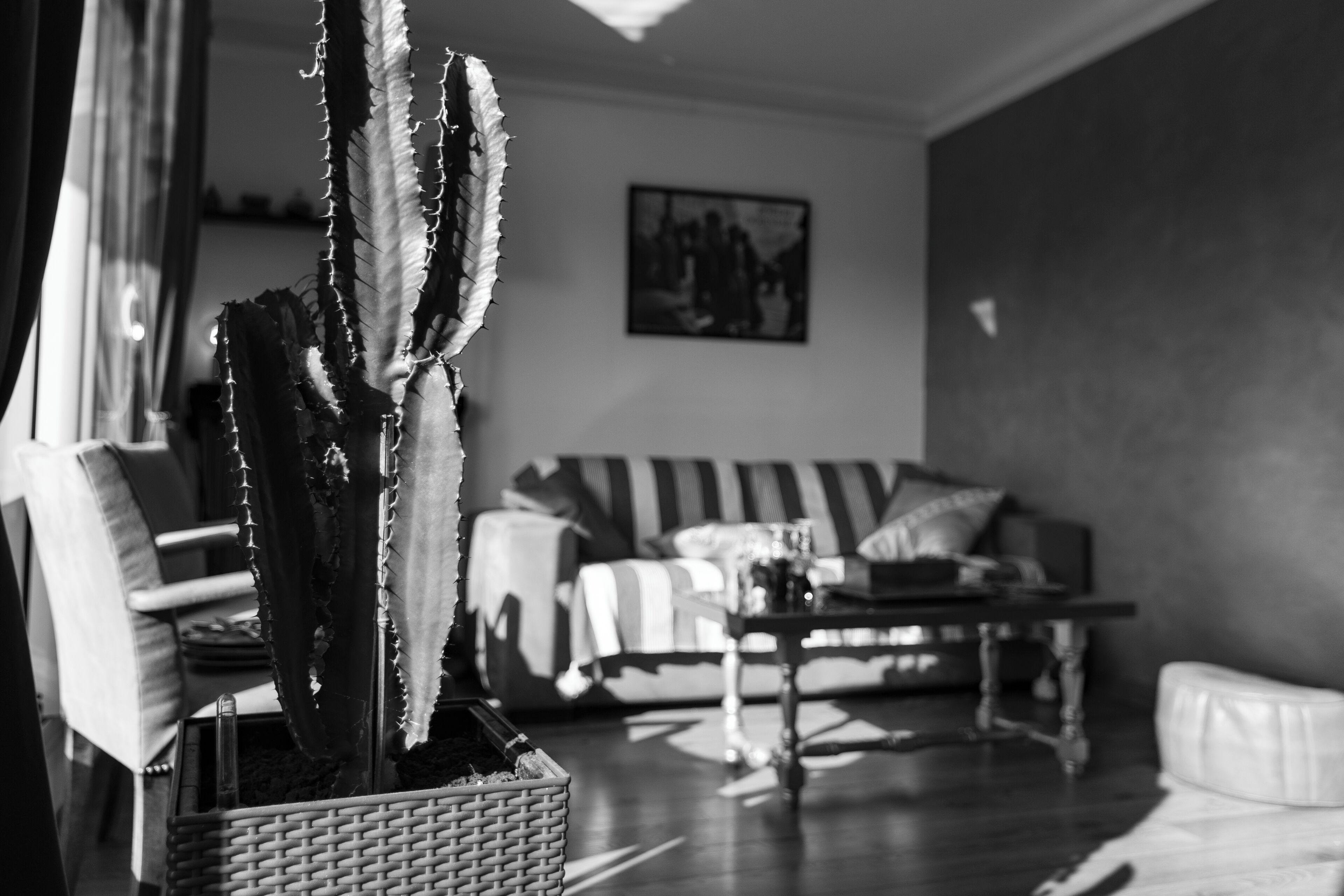 D'amis - D'hotes-b&b-guest House Bed & Breakfast 4*