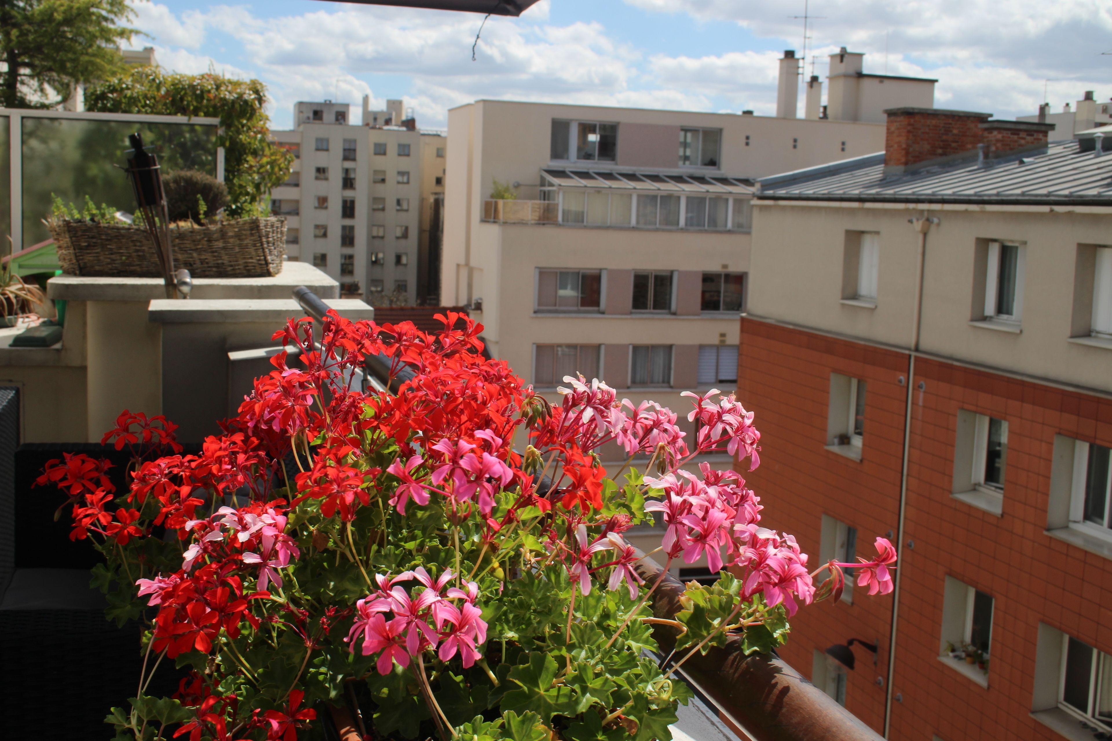 D'amis - D'hotes-b&b-guest House